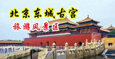 黑人超级大鸡巴操穴视频中国北京-东城古宫旅游风景区